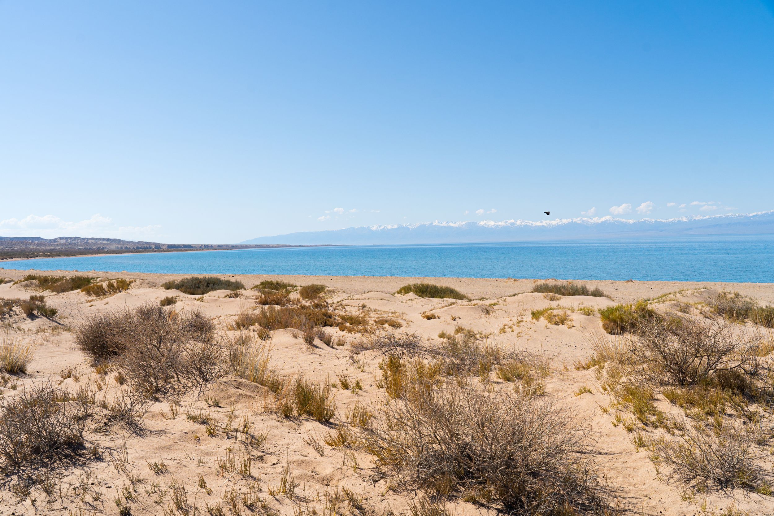 Кыргызстан — это концентрация природной красоты: от альпийских лугов до лазурных вод Иссык-Куля. Больше всего запомнилась ночь под абсолютно черным небом, усыпанным звездами, которое мы рассматривали прямо через люк в крыше кемпера. Ощущение полного слияния с природой при абсолютном комфорте внутри