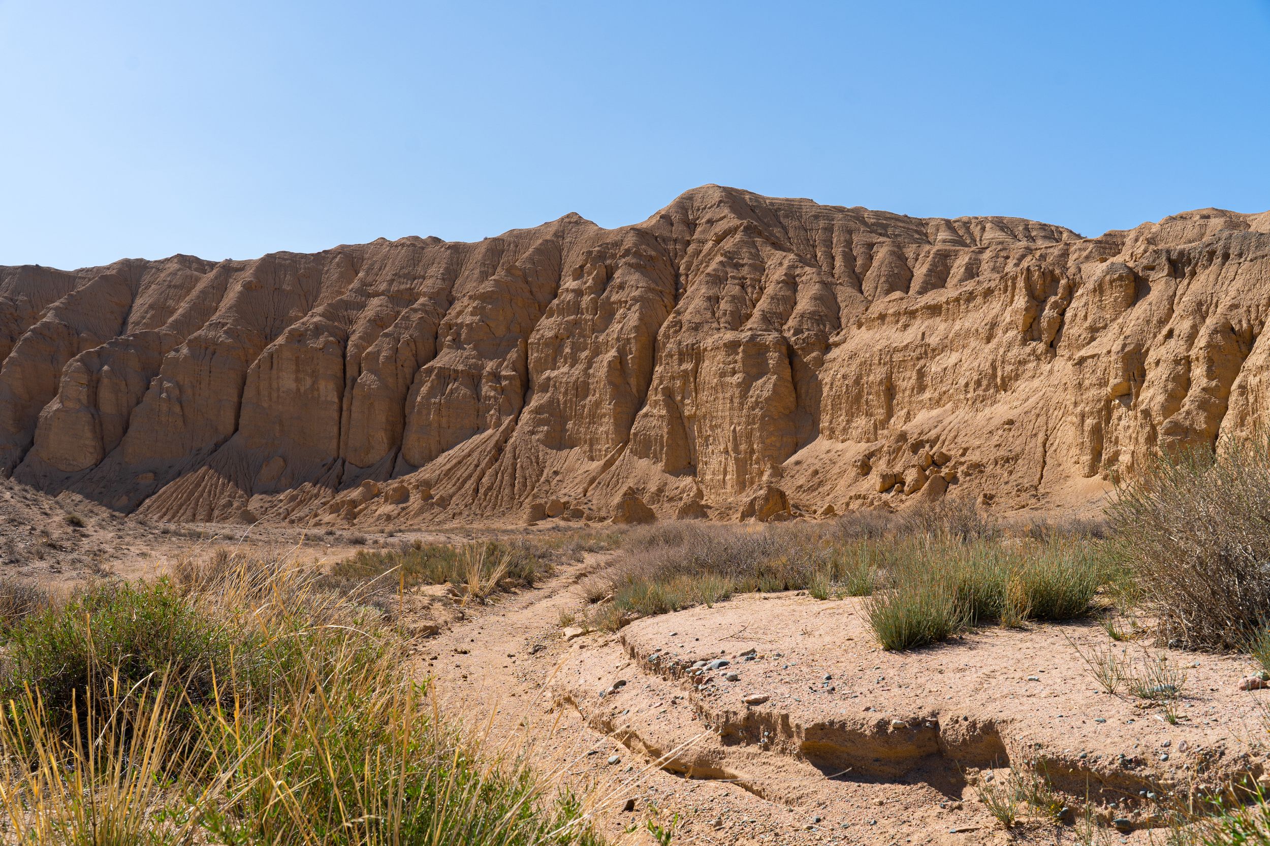 Кыргызстан — это концентрация природной красоты: от альпийских лугов до лазурных вод Иссык-Куля. Больше всего запомнилась ночь под абсолютно черным небом, усыпанным звездами, которое мы рассматривали прямо через люк в крыше кемпера. Ощущение полного слияния с природой при абсолютном комфорте внутри