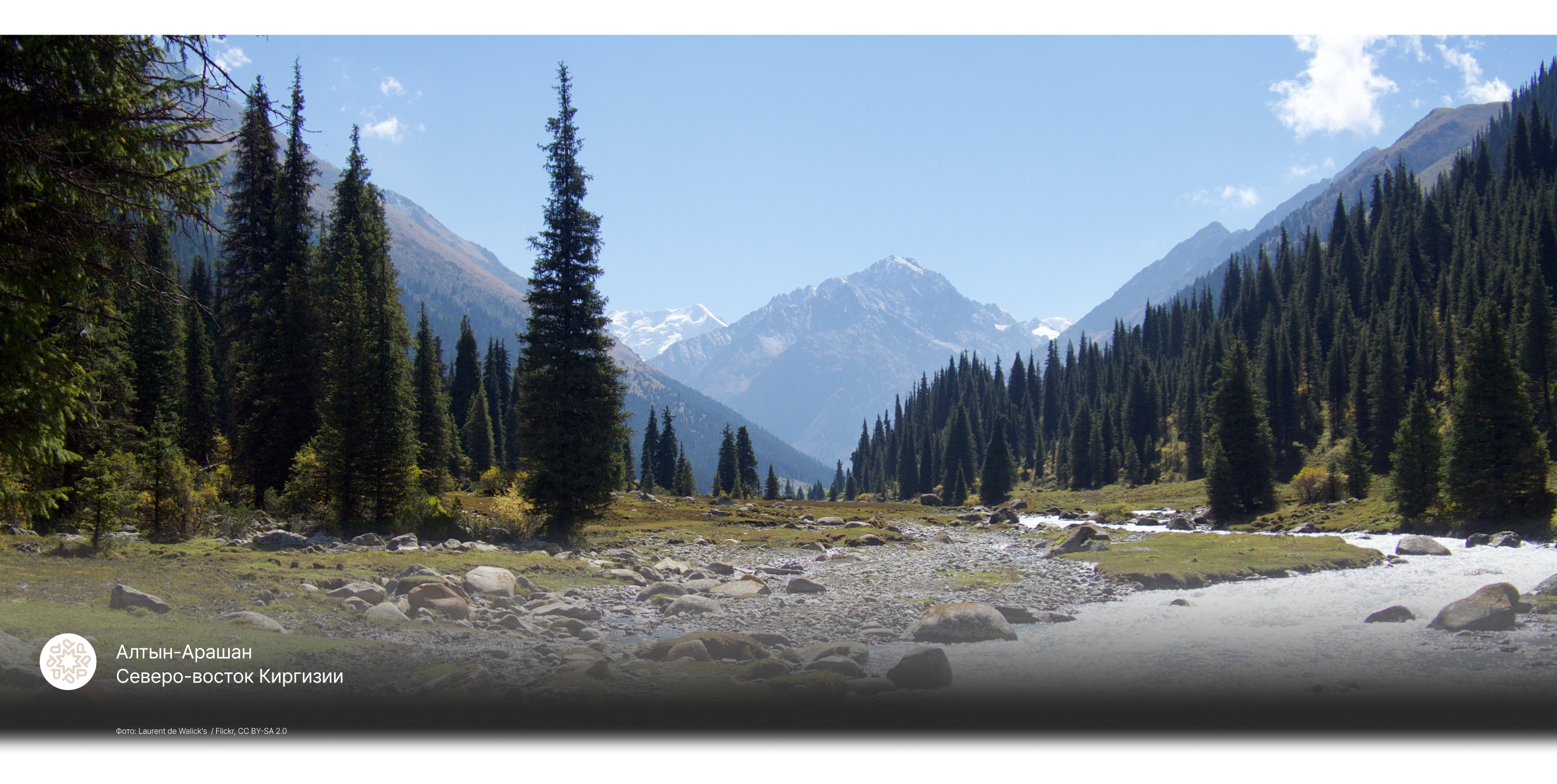 Алтын-Арашан